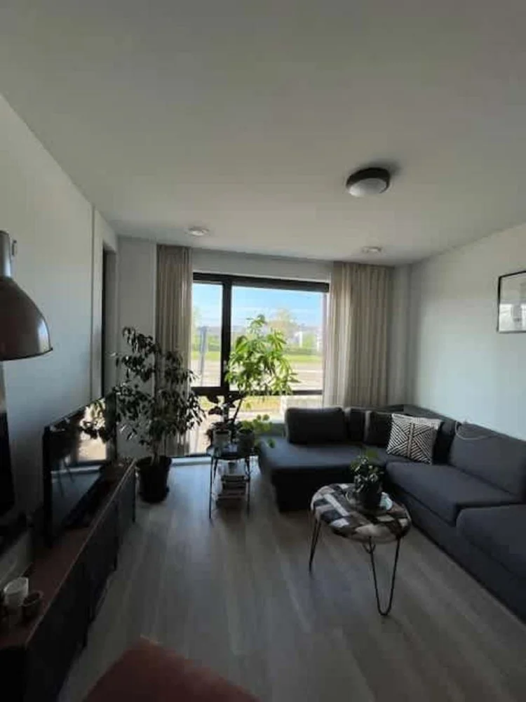 Rental property 5