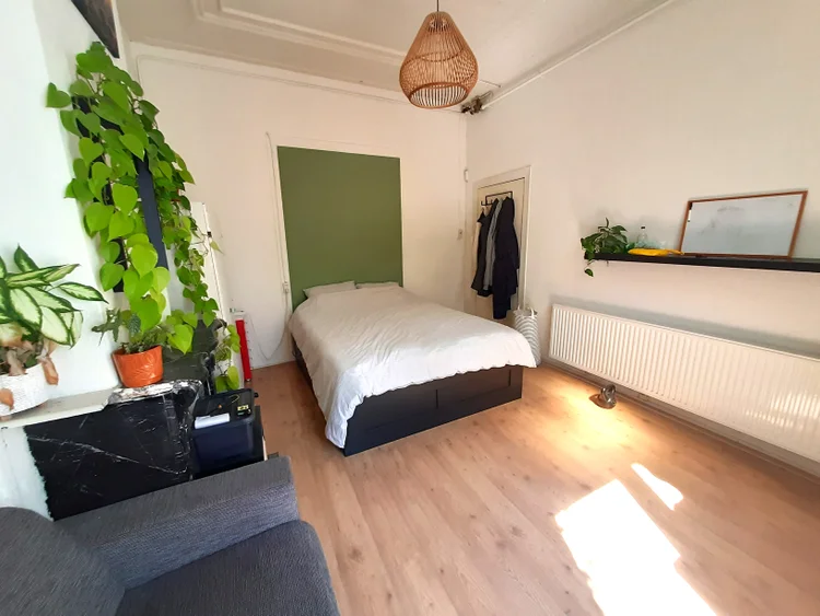 Rental property 2
