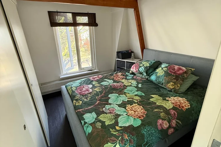 Rental property 2