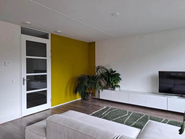 Rental property 4