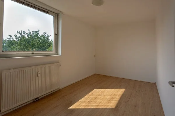 Rental property 5