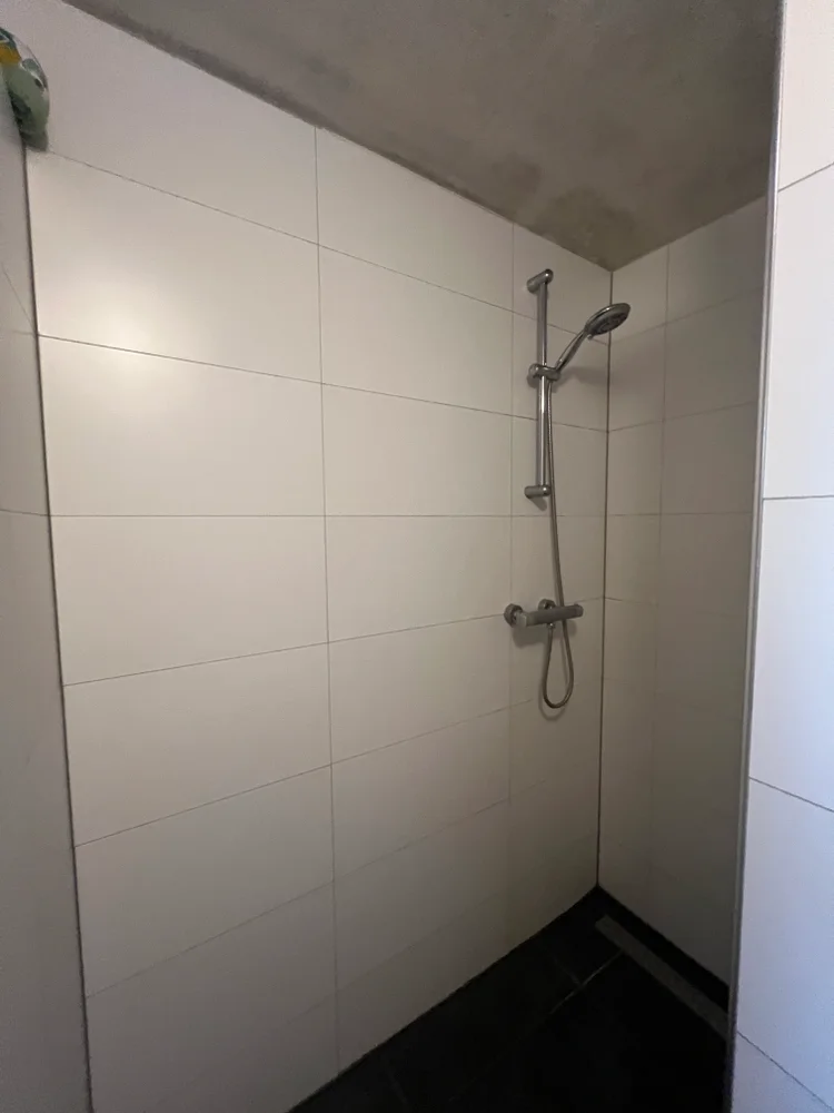 Rental property 2