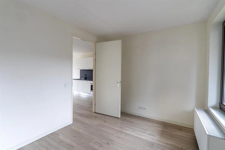 Rental property 2