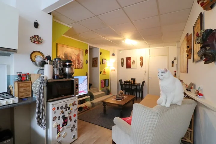 Rental property 4