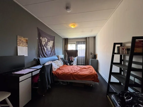 Rental property 4