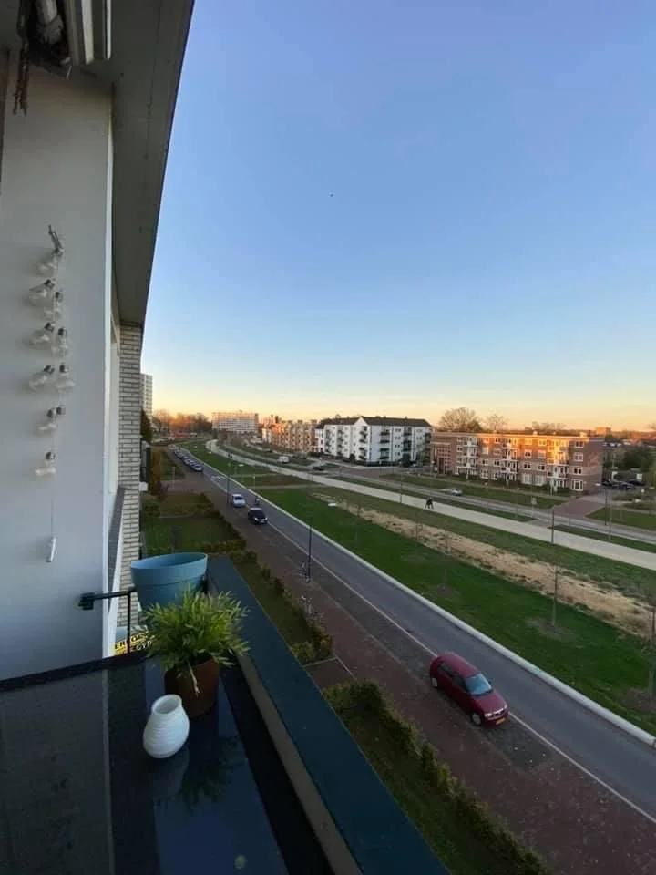 Rental property 4