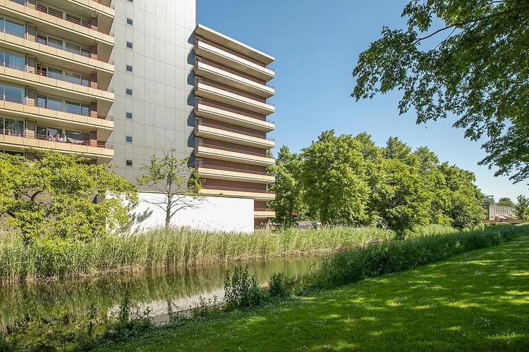 Rental property 2