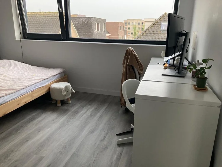 Rental property 5