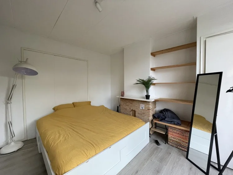 Rental property 5
