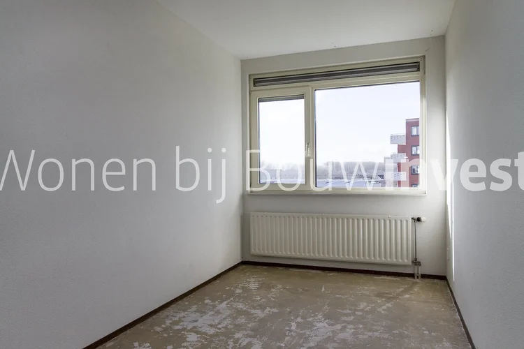 Rental property 2