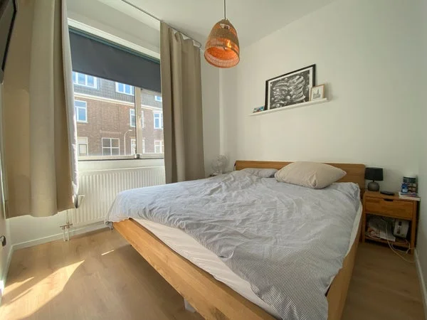 Rental property 5