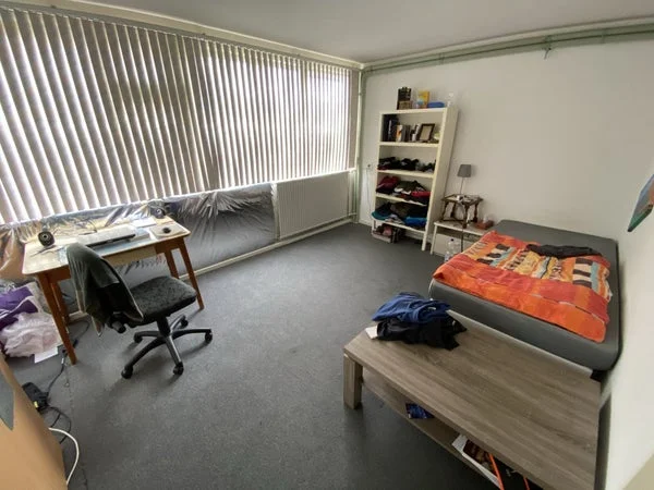 Rental property 5