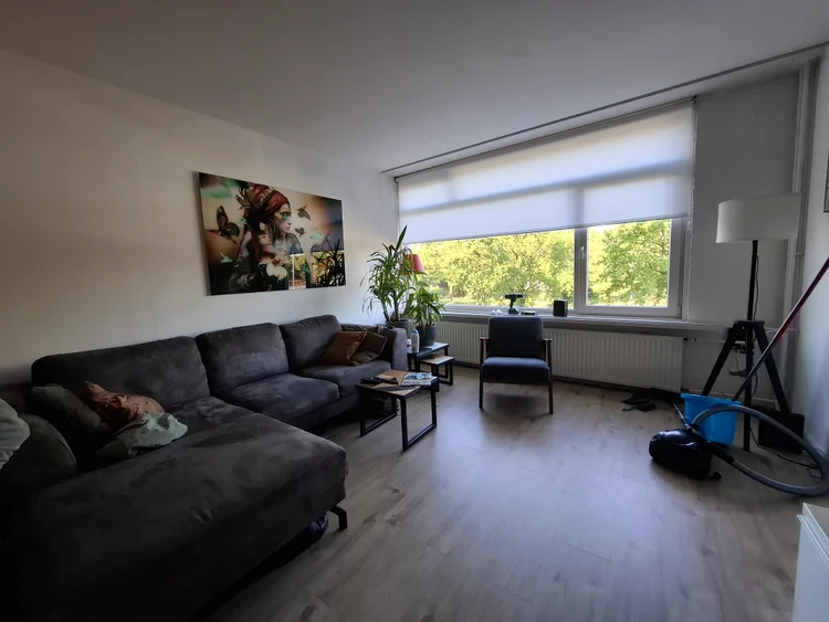 Rental property 4