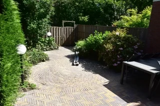 Rental property 2