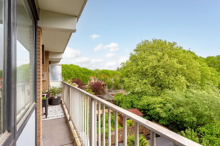 Rental property 5