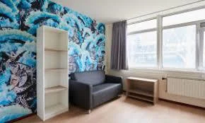 Rental property 2