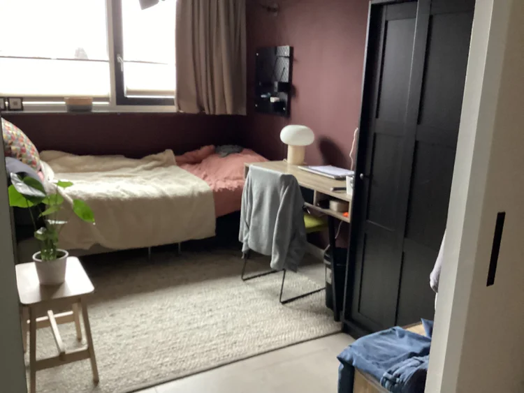 Rental property 5