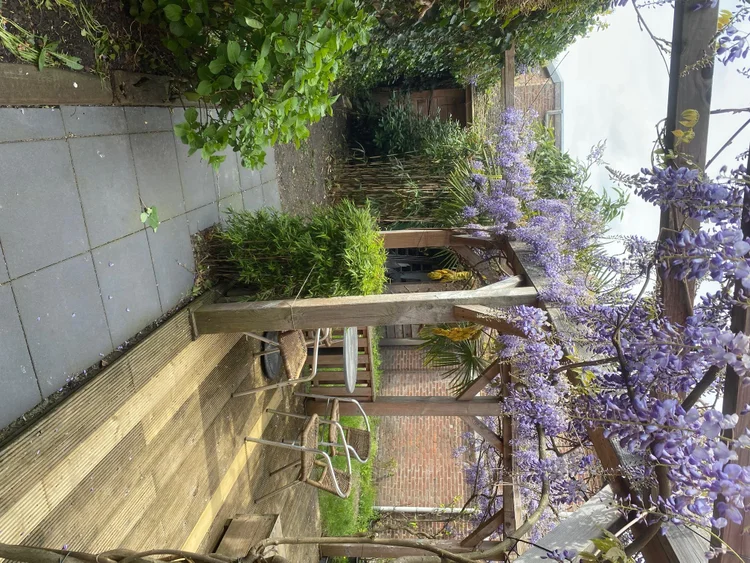 Rental property 3