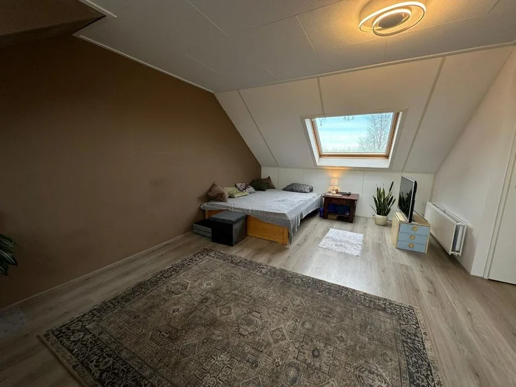 Rental property 5