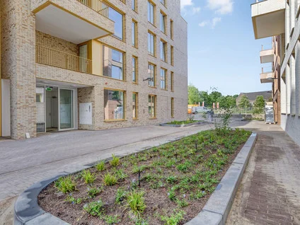 Rental property 4