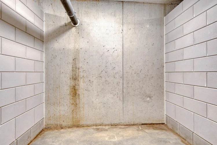 Rental property 5