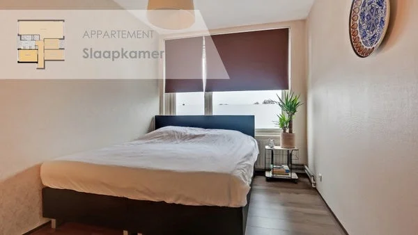 Rental property 2