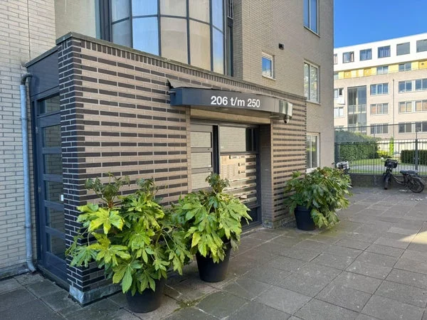 Rental property 4