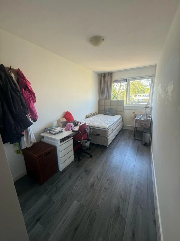 Rental property 2