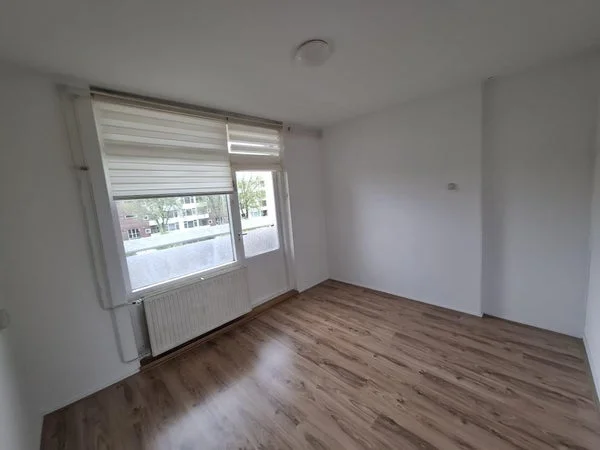 Rental property 2