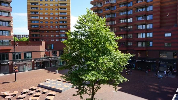 Rental property 5
