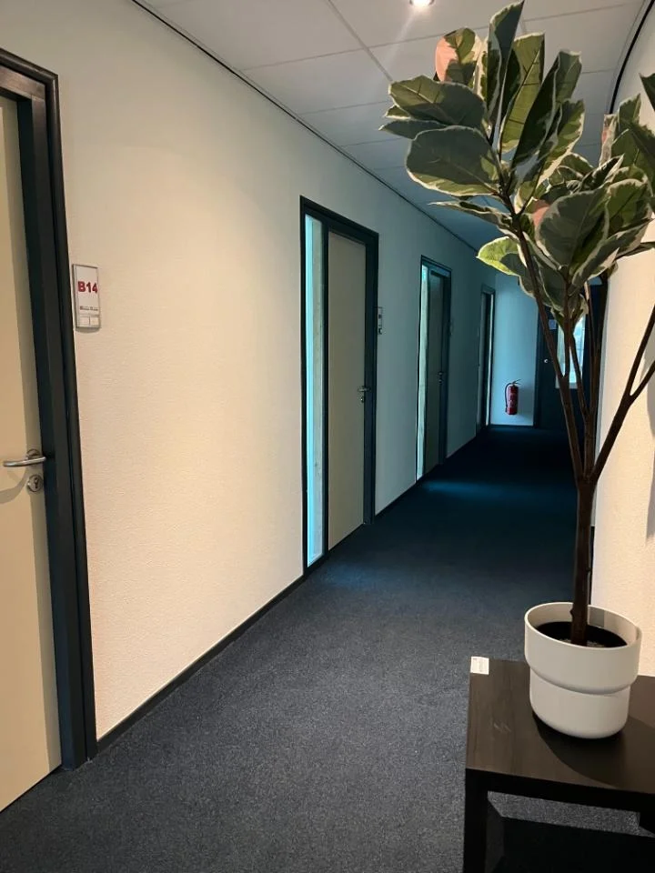 Rental property 3