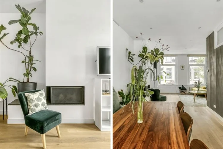 Rental property 4
