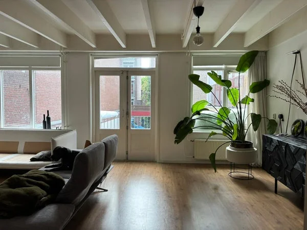 Rental property 4