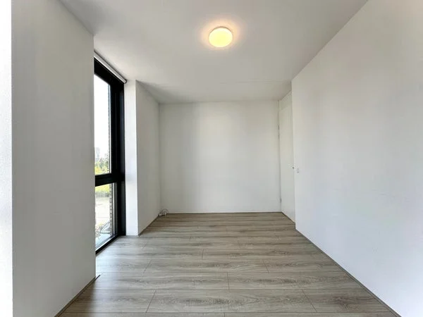 Rental property 4