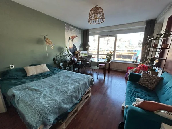 Rental property 2