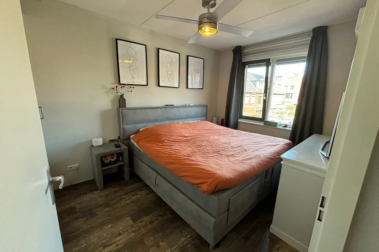 Rental property 2