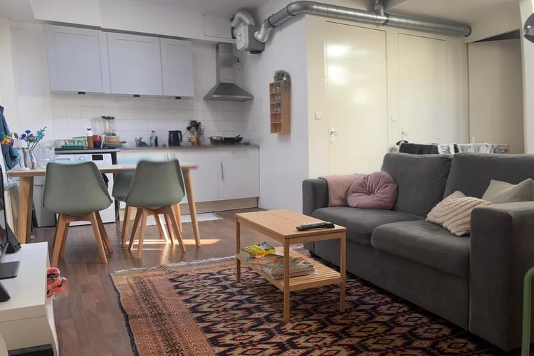 Rental property 5