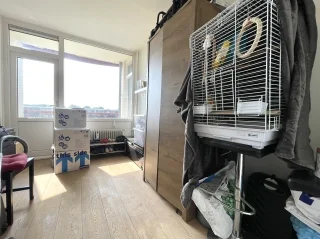 Rental property 4