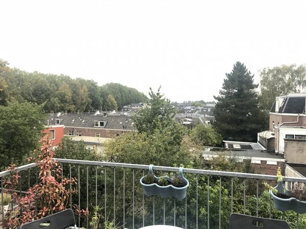 Rental property 4