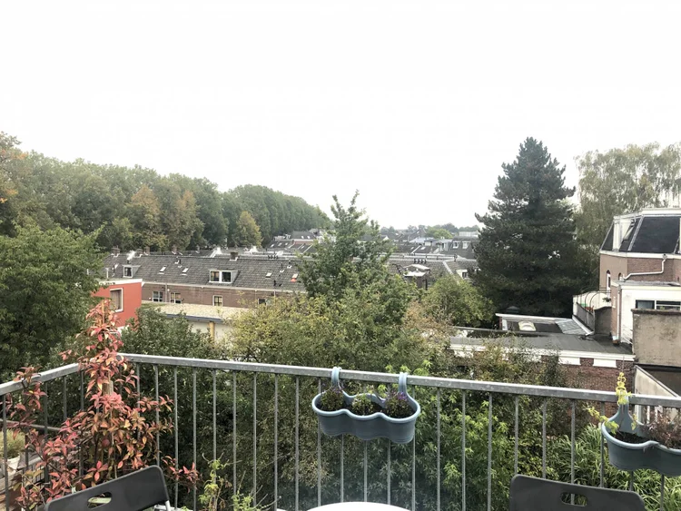 Rental property 5