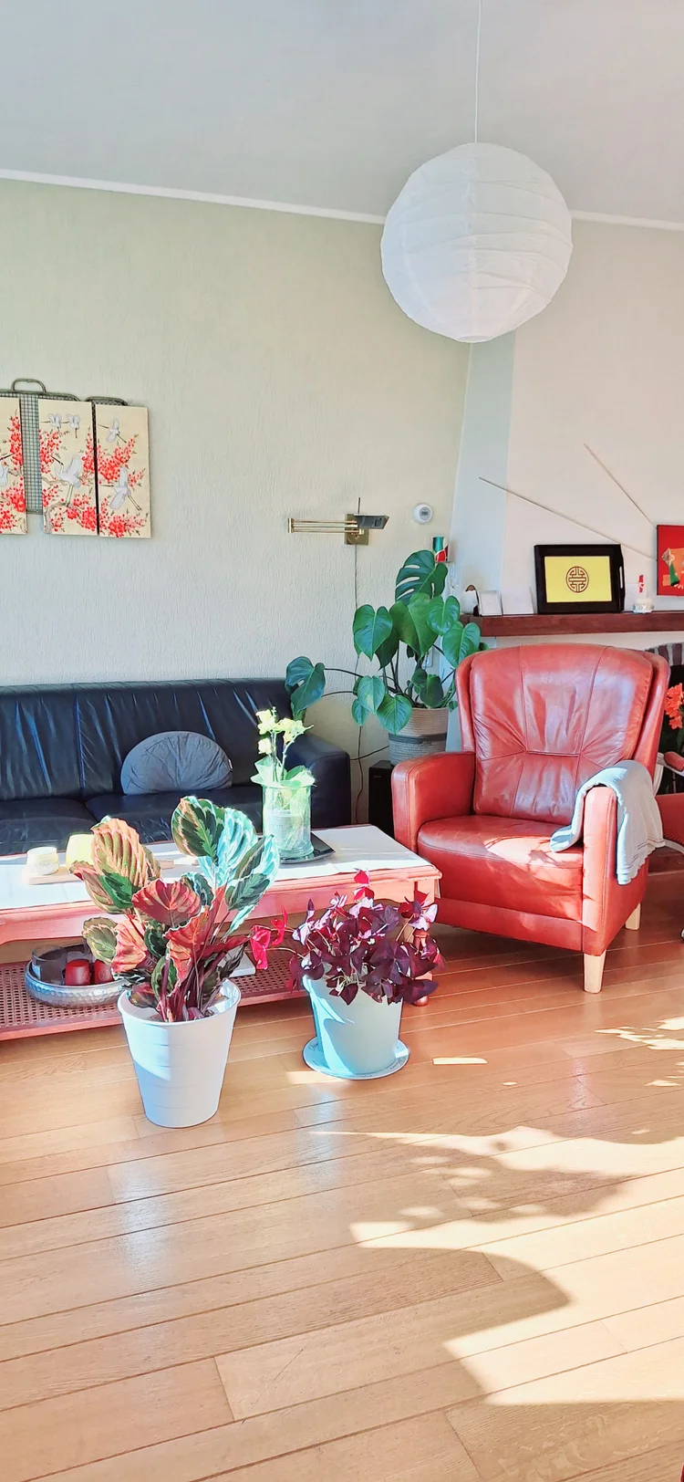 Rental property 3