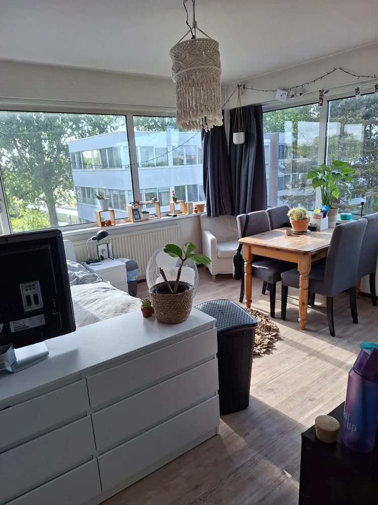 Rental property 2