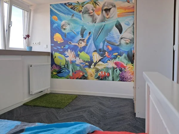 Rental property 5