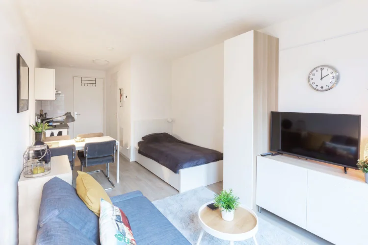Rental property 5