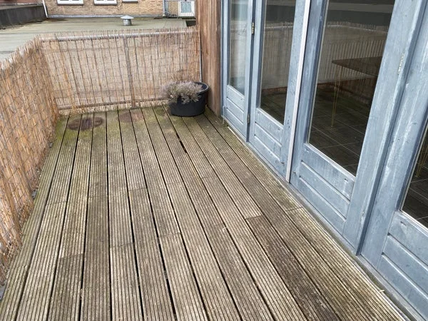 Rental property 5
