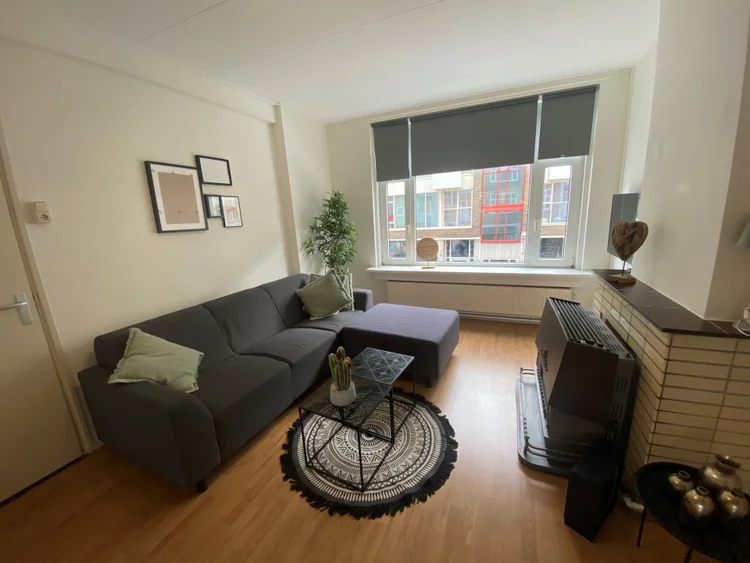 Rental property 5