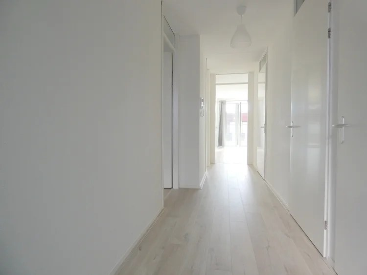 Rental property 4