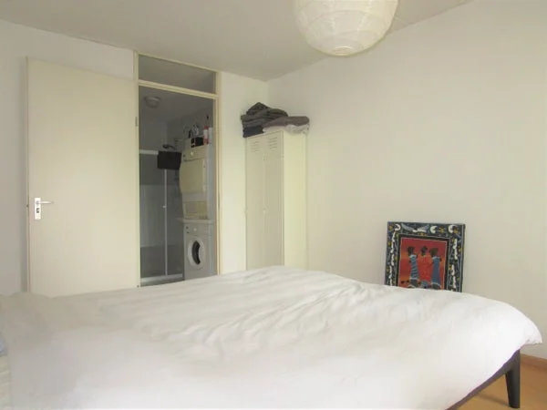 Rental property 2