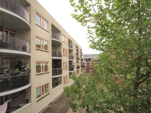 Rental property 5