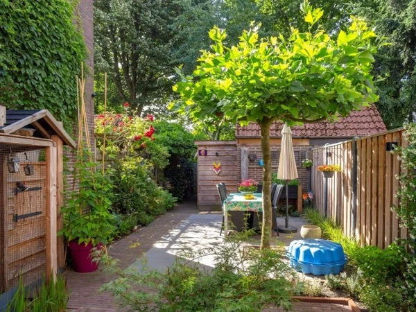 Rental property 5